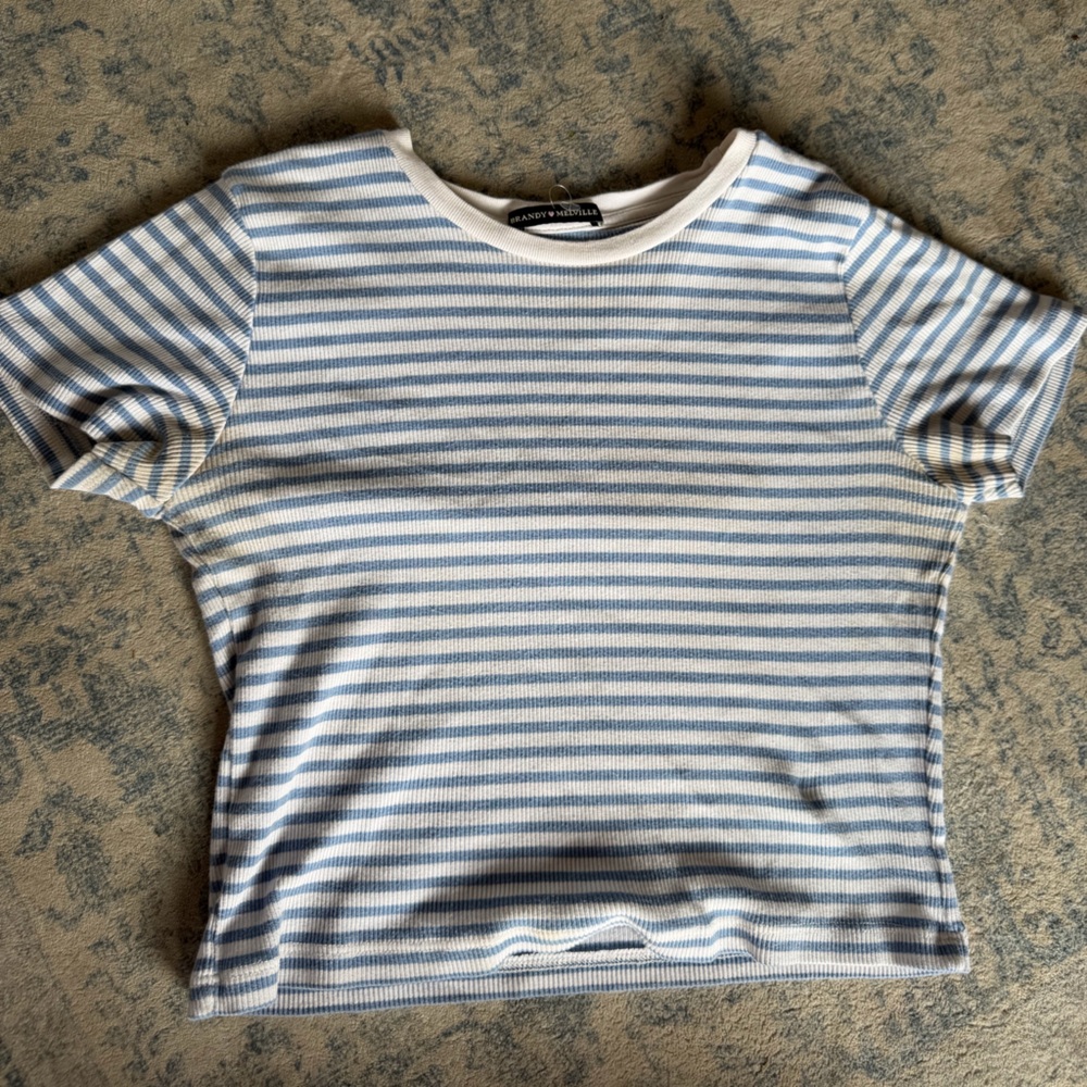 Brandy Melville Blue and White Striped Tee